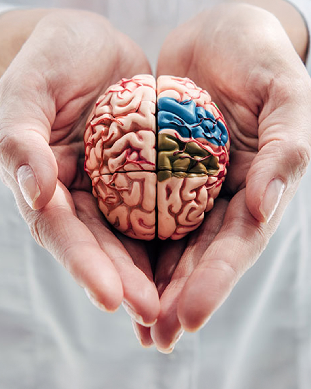 Praxisteam Dr. Bacher und Dr. Böhm